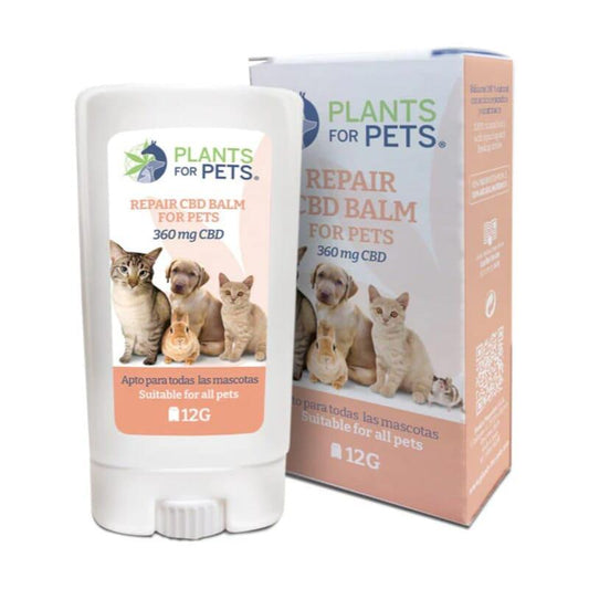 PLANTOFLIFE Soothing CBD Balm for Pets