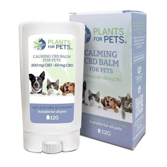 PLANTOFLIFE Calming CBD Balm for Pets