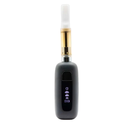 G PEN Original Battery 510