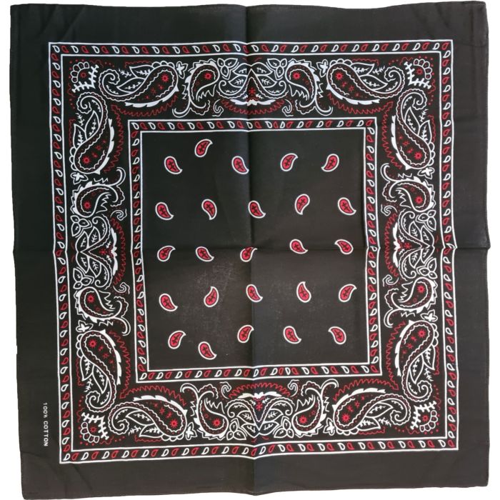 Red & White Paisley Bandana
